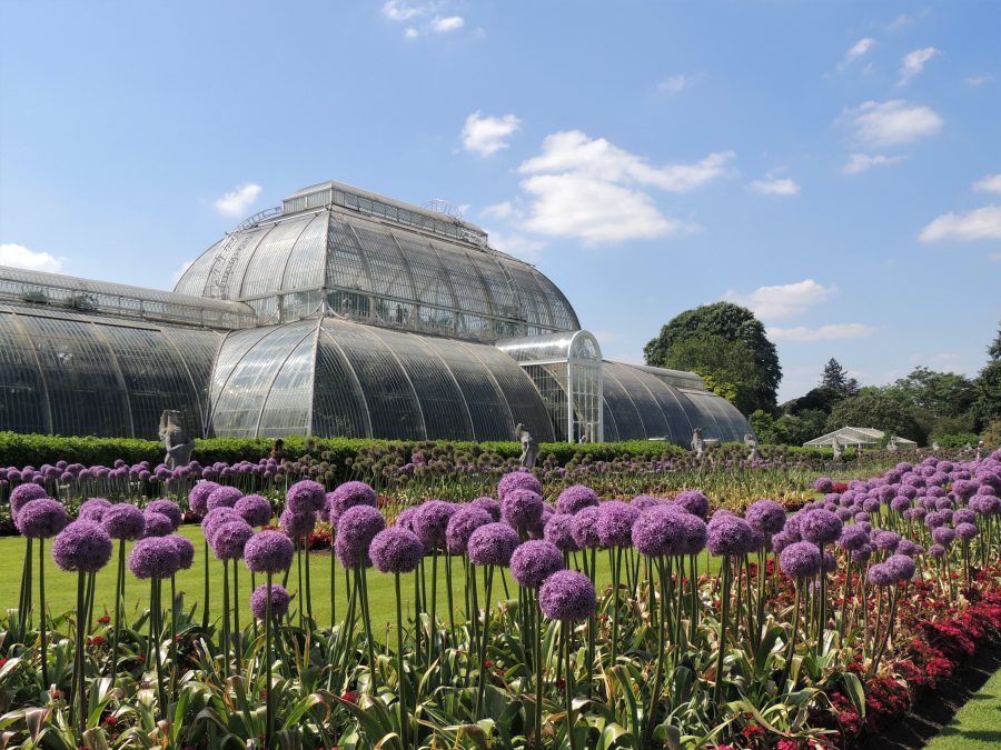 kew gardens Londen bezienswaardigheden
