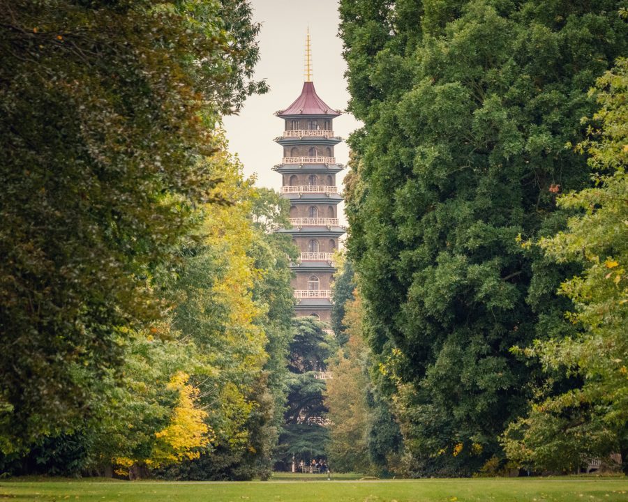 kew gardens londen japanse tuin