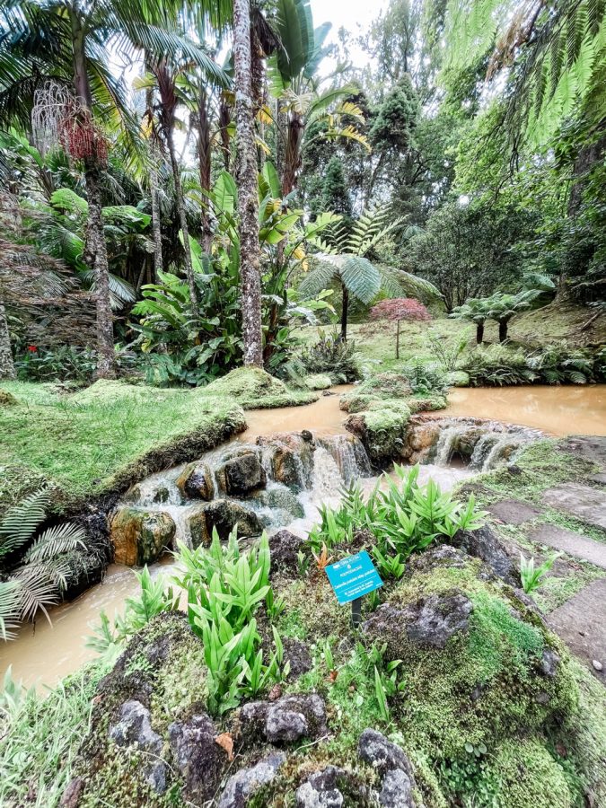 botansiche tuin park terra nostra azoren furnas