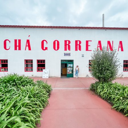 Chá Gorreana: Europa's oudste theeplantage
