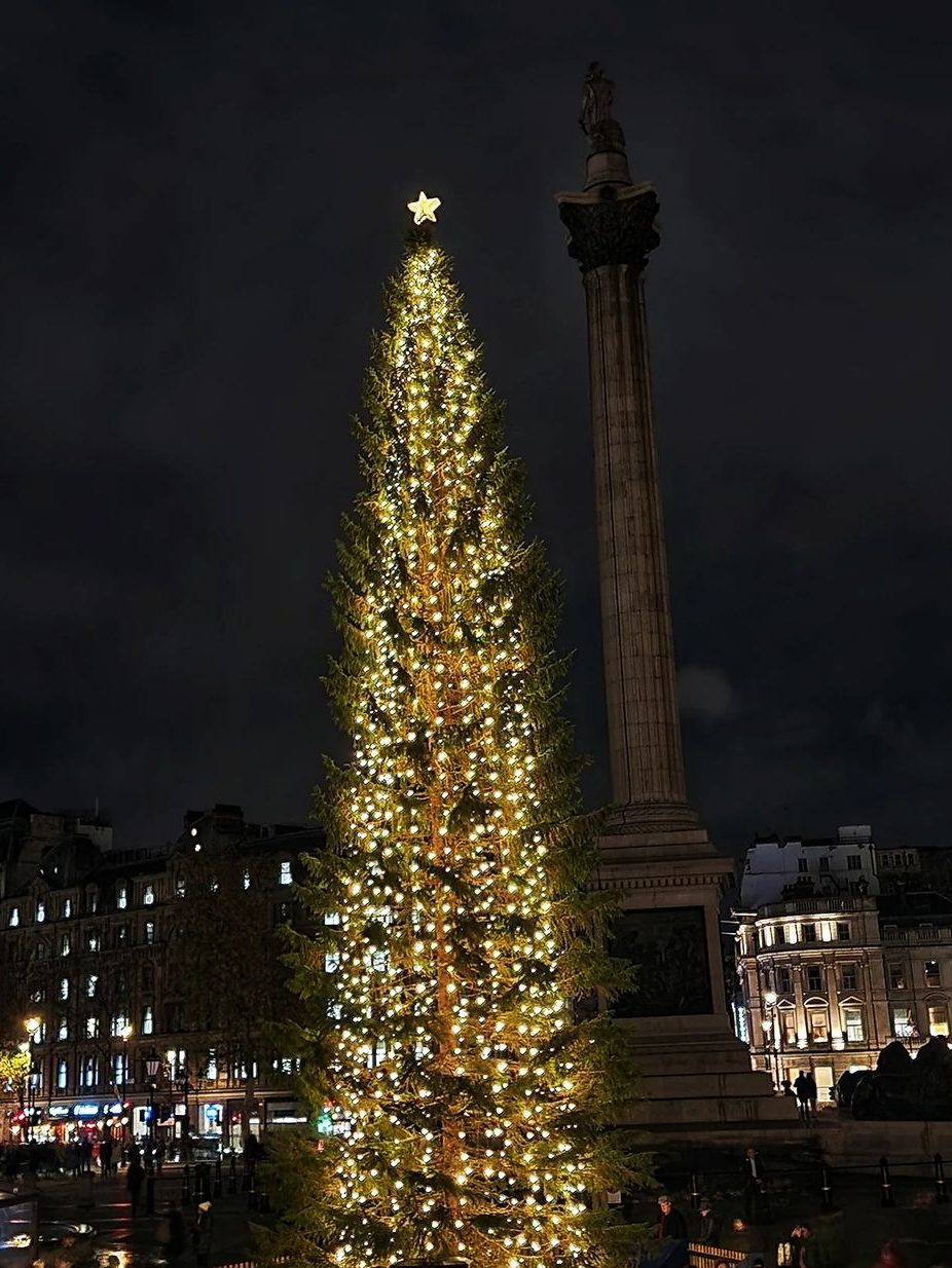 kerstboom trafalgar square londen met kerst