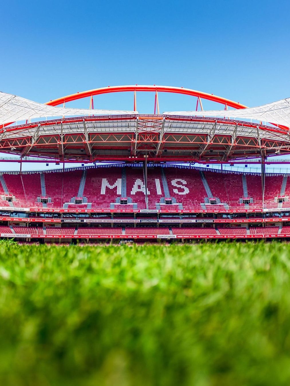 benfica stadiontour veld