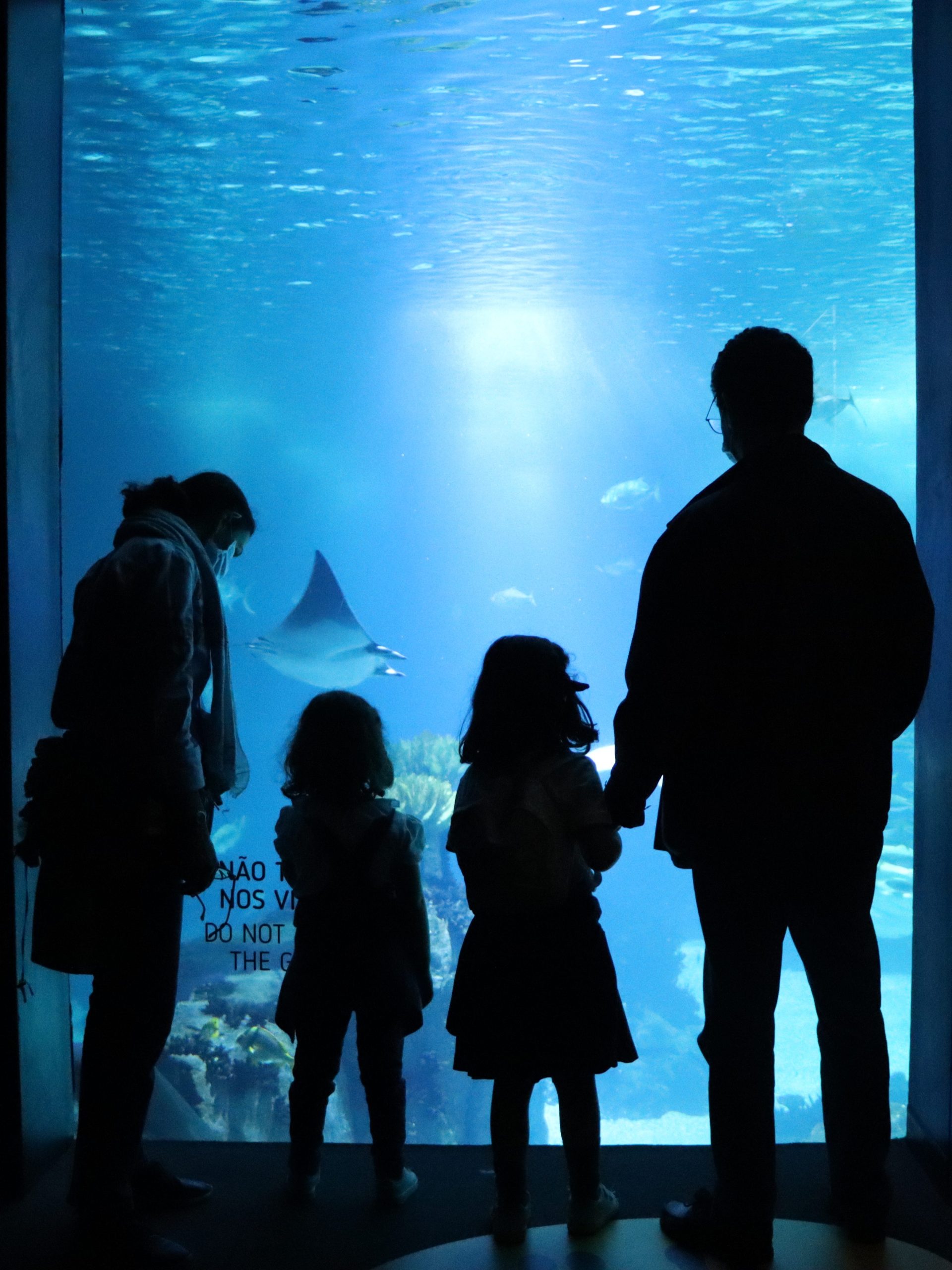 aquarium lissabon met kinderen