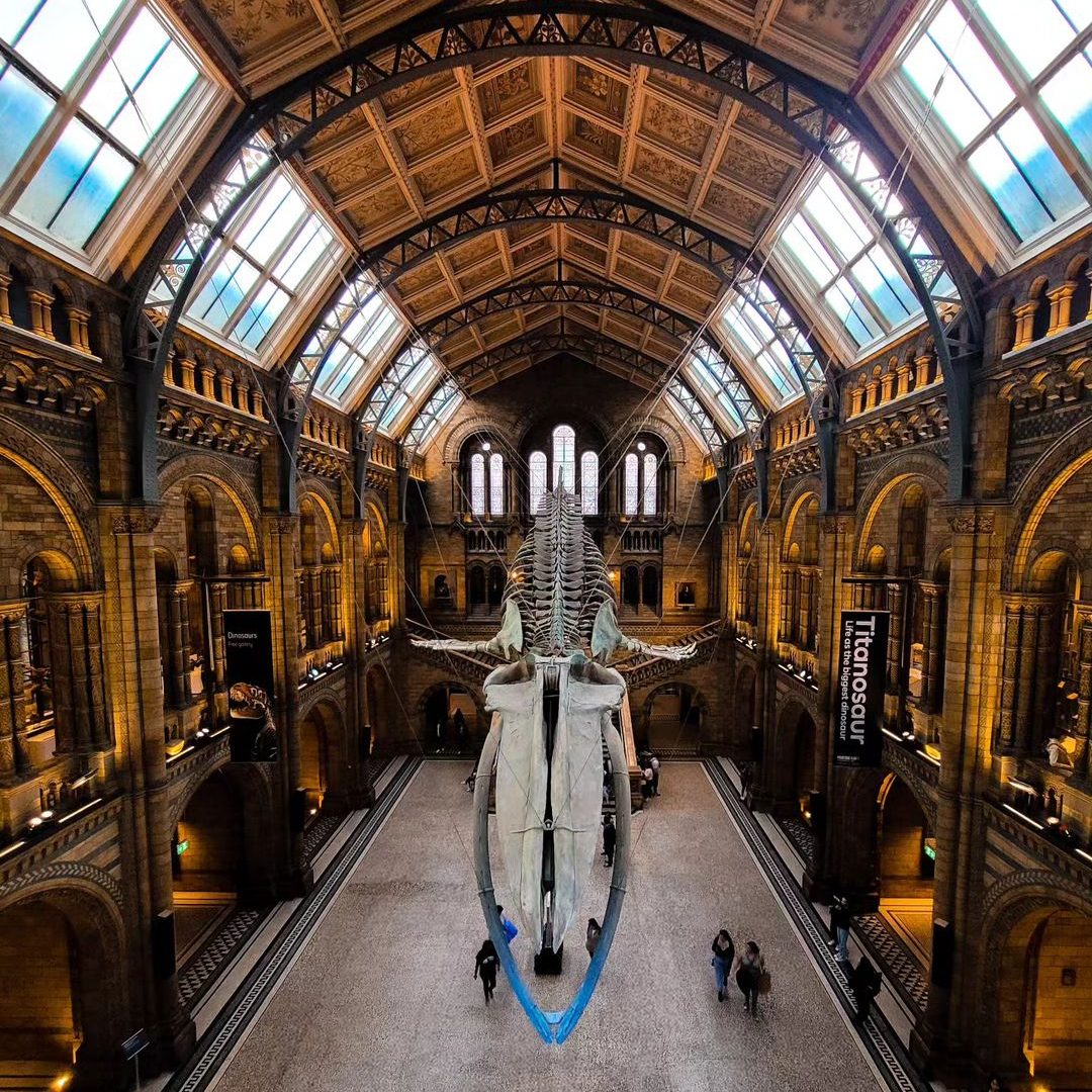 natural history museum londen met kinderen