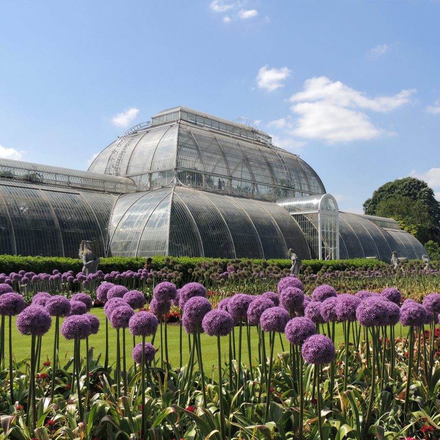 kew gardens Londen bezienswaardigheden