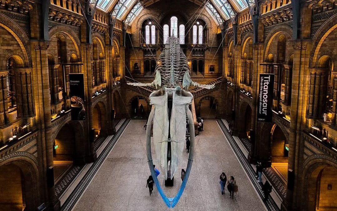 natural history museum londen met kinderen