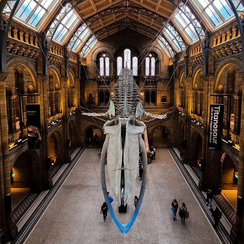 natural history museum londen met kinderen