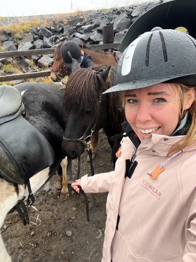 horse riding ijsland tour