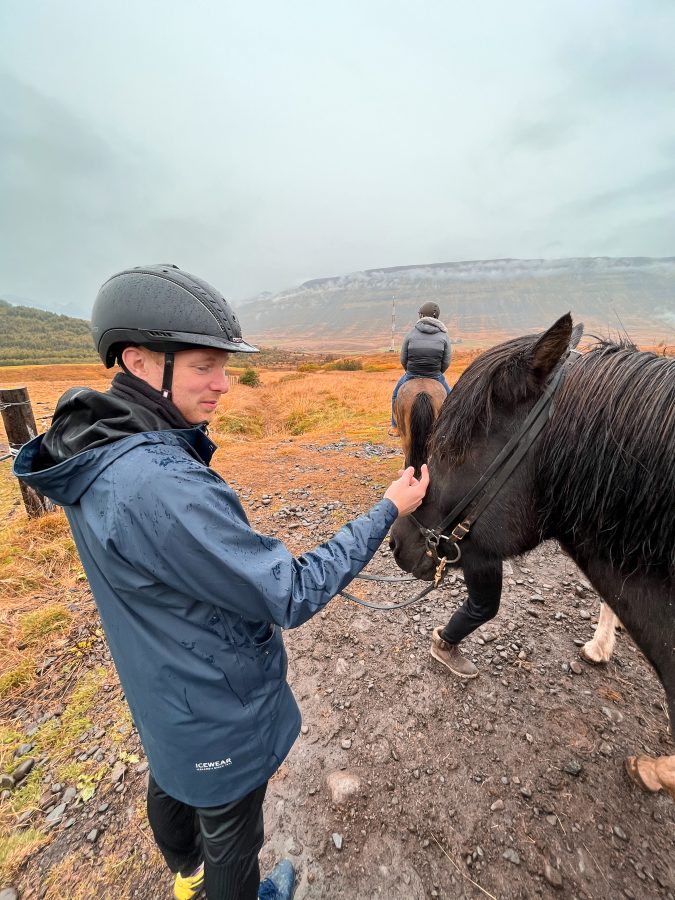 paardrijden IJsland