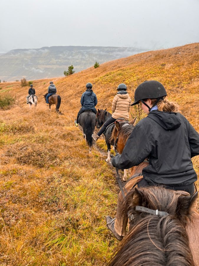 paardrijden in het noorden van ijsland