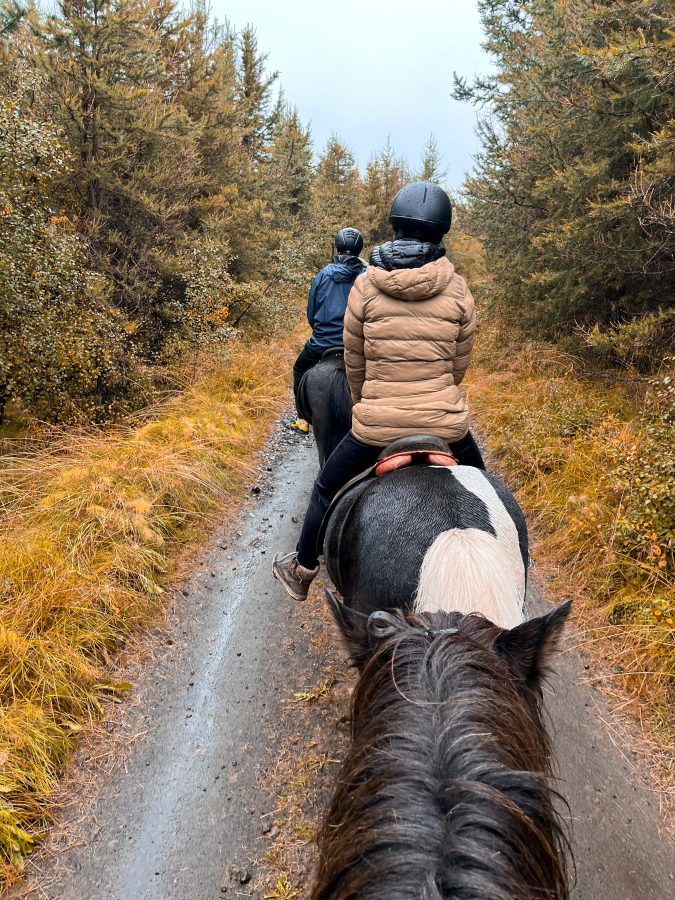 paardrijden in het noorden van IJsland