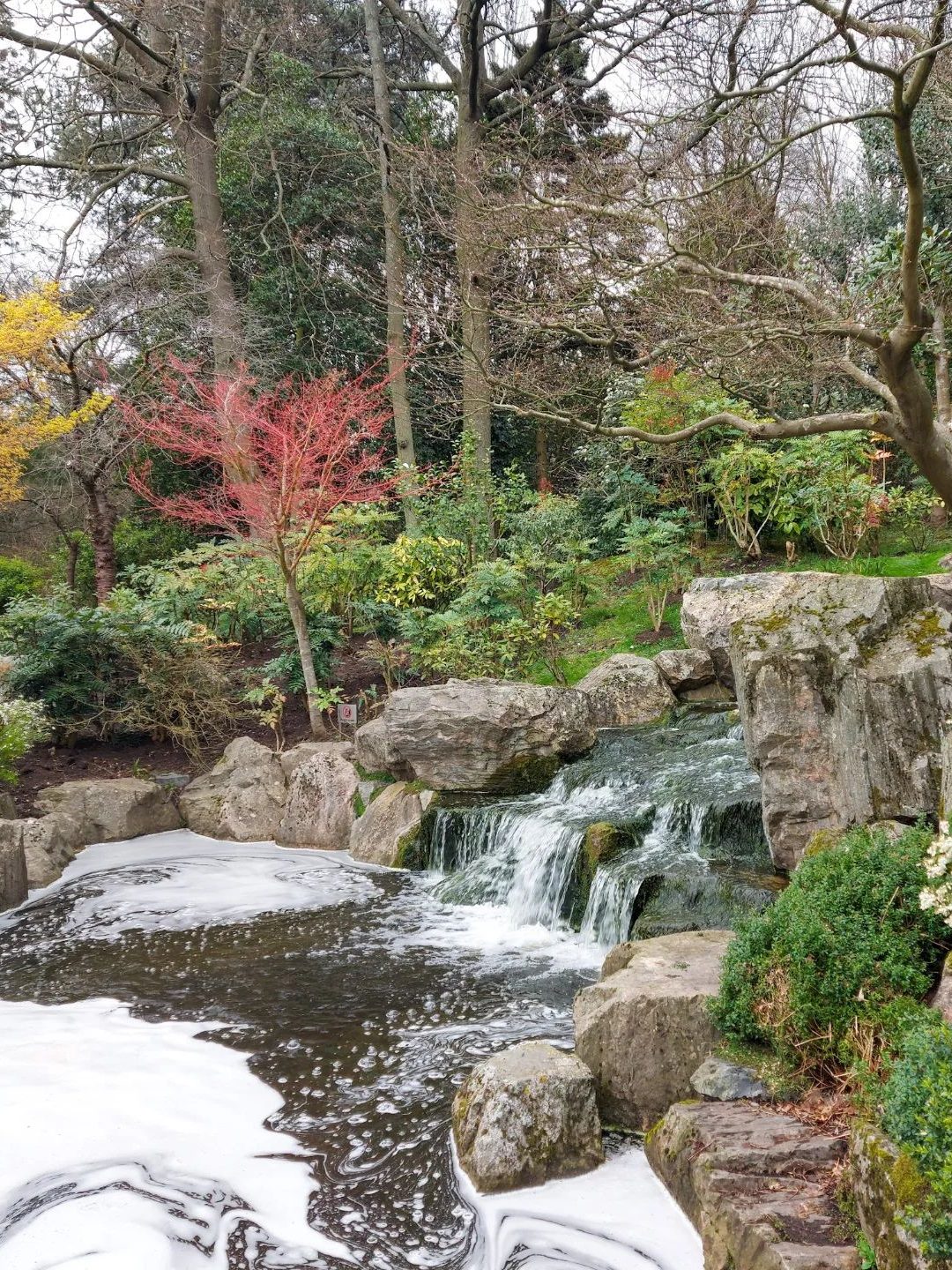 kyoto garden holland park notting hill londen