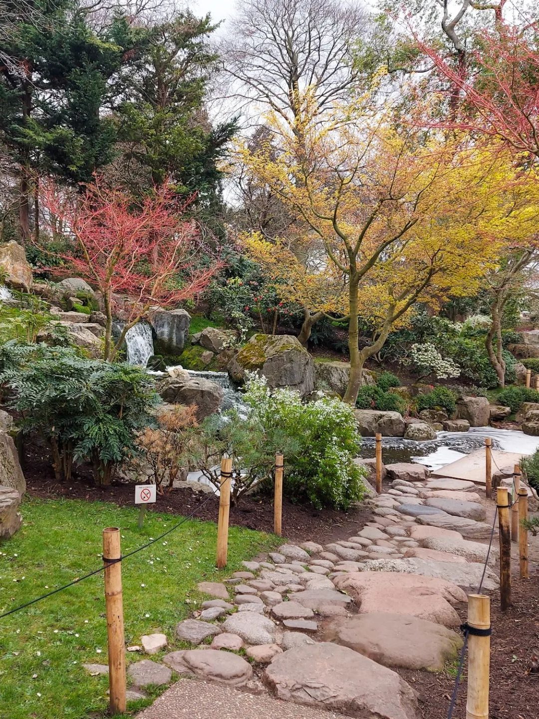 kyoto garden holland park notting hill londen