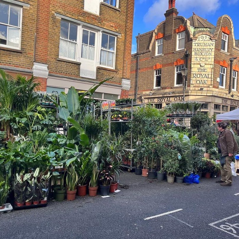 Columbia Road flowermarket londen gratis dingen om te doen