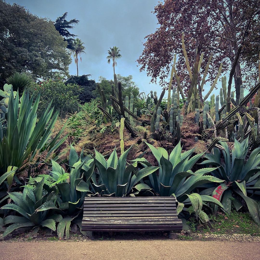 Jardim da Estrela met kinderen naar lissabon