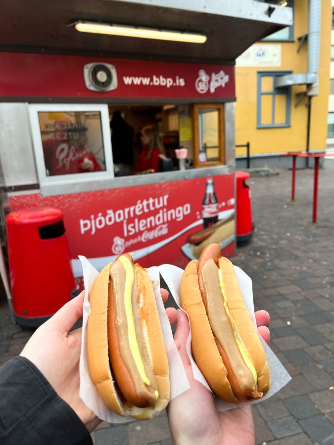 beste hotdog reykjavik ijsland