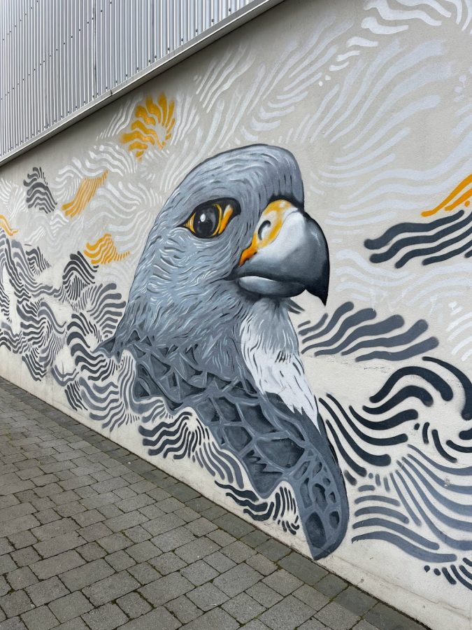 streetart reykjavik