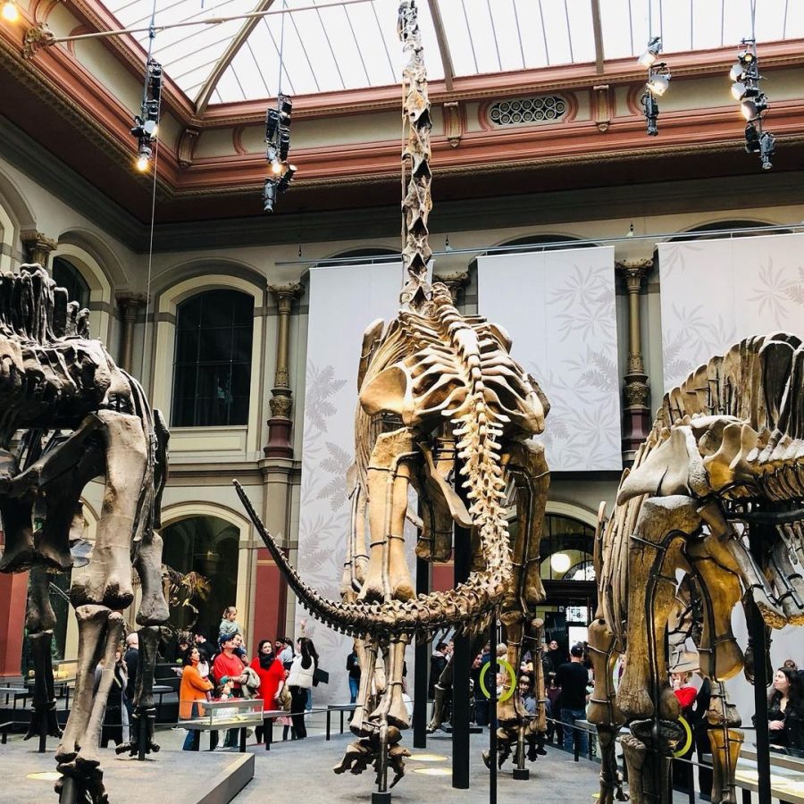 Naturkundemuseum berlijn met kinderen