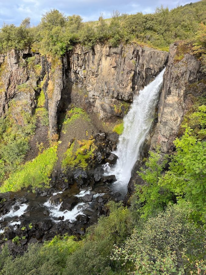 Op de route naar Svartifoss ©Wegwijsnaar.nl