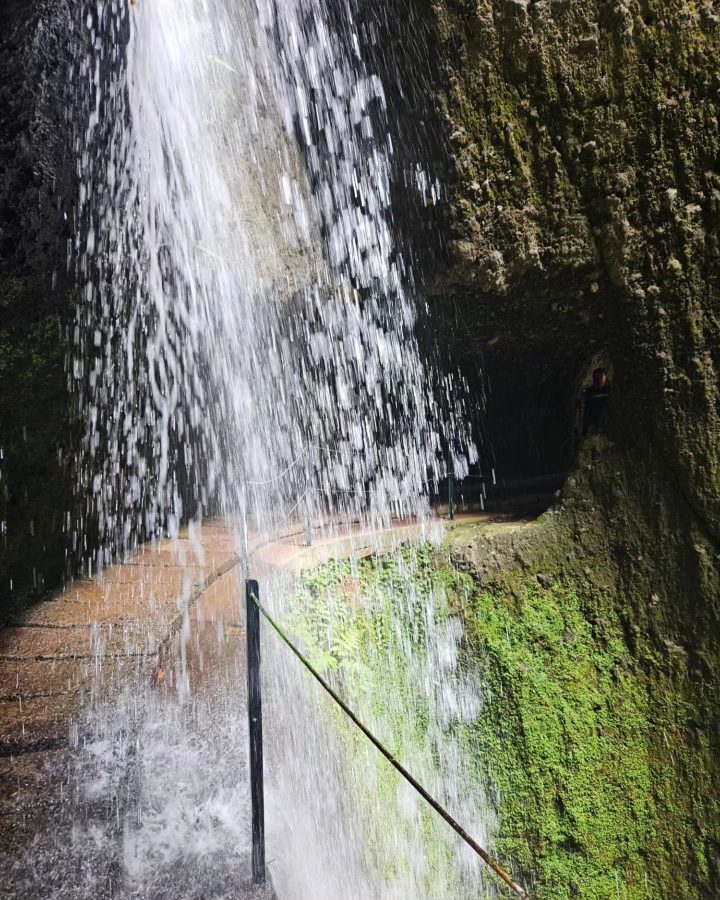 hikes op madeira Levada Nova & do Moinho (PR7)