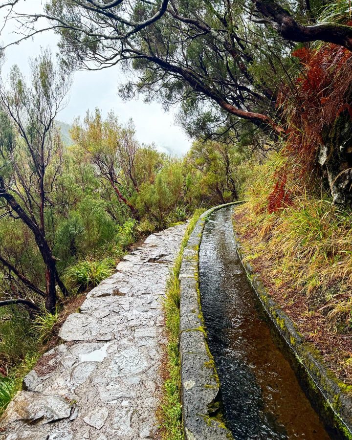 PR 6 Levada das 25 Fontes