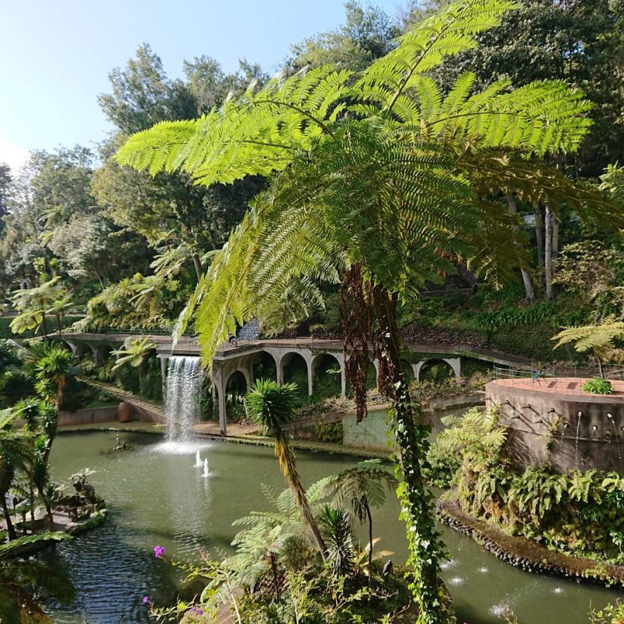 monte palace tropical gardens funchal