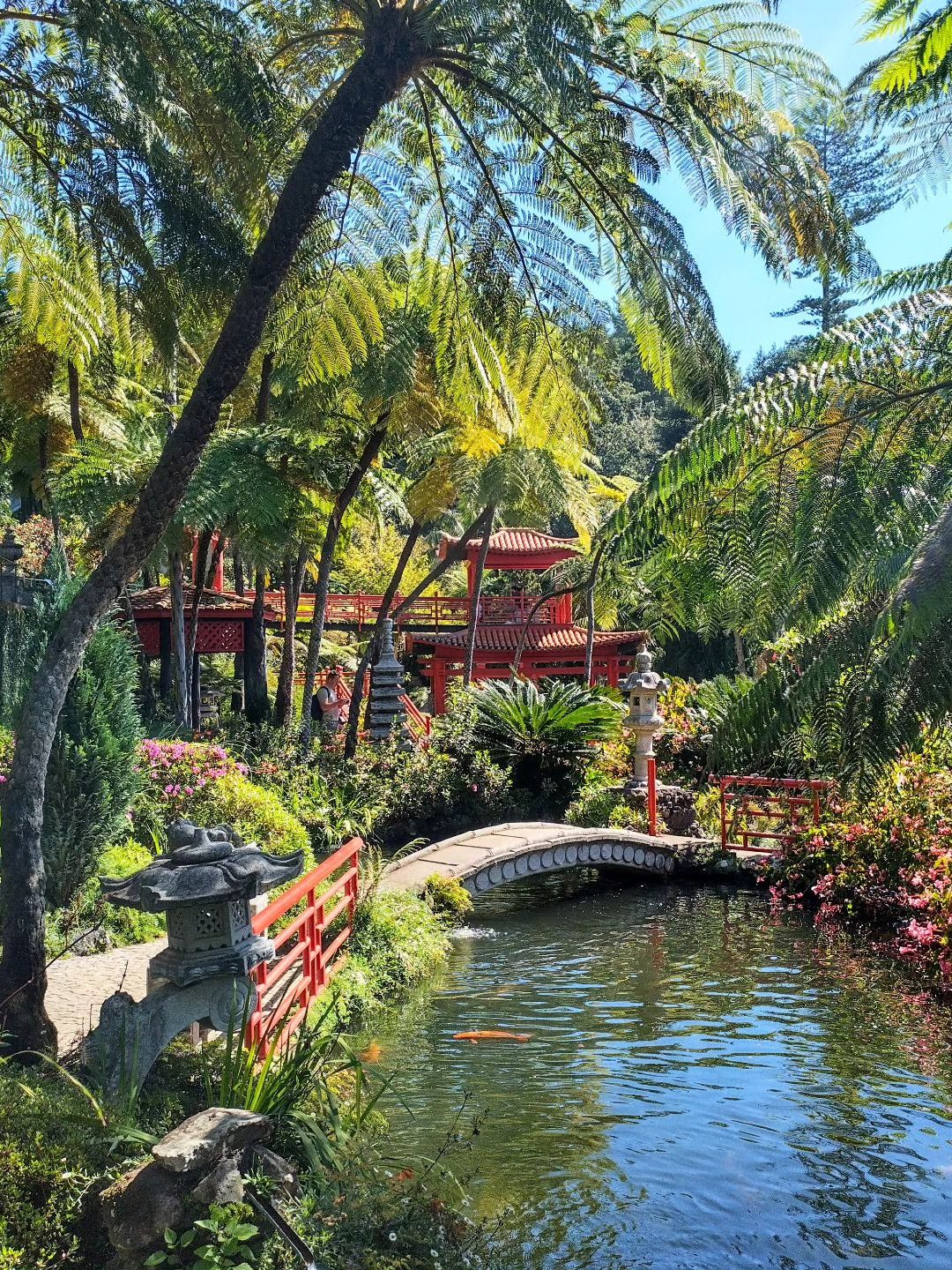 monte palace tropical garden madeira