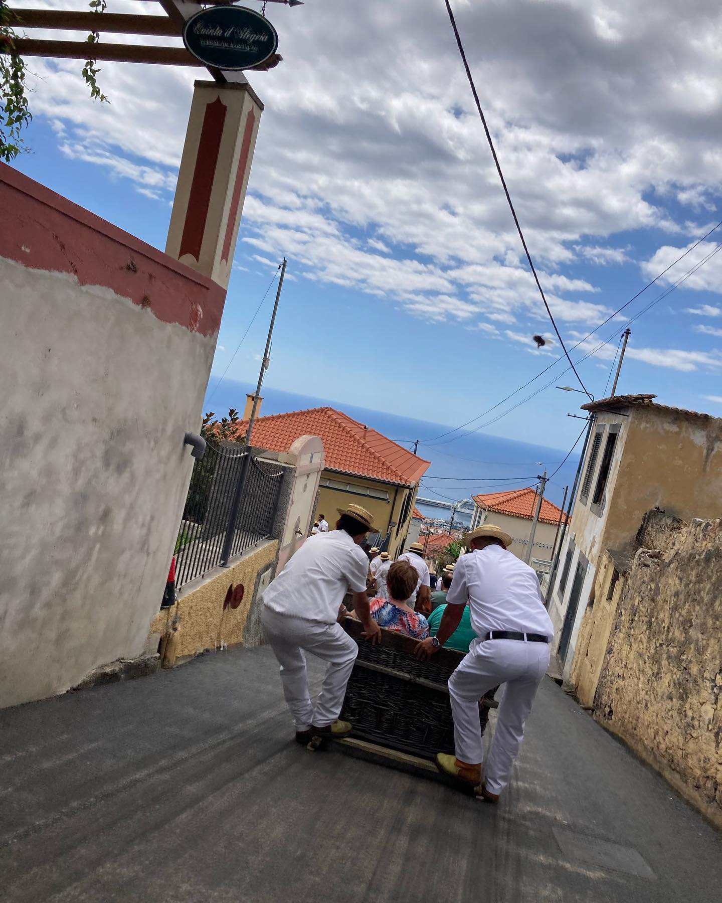 Toboggan run Sleeën door de straten van Madeira Tips & tickets
