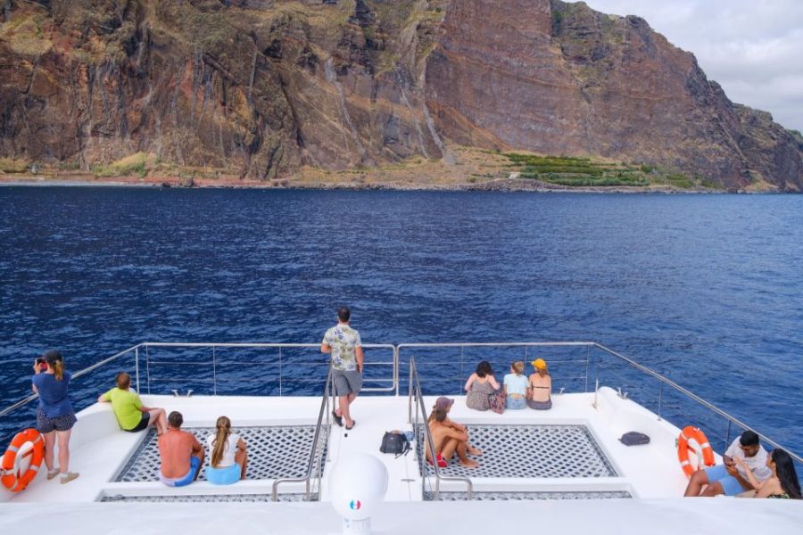 walvissen en dolfijnen spotten madeira