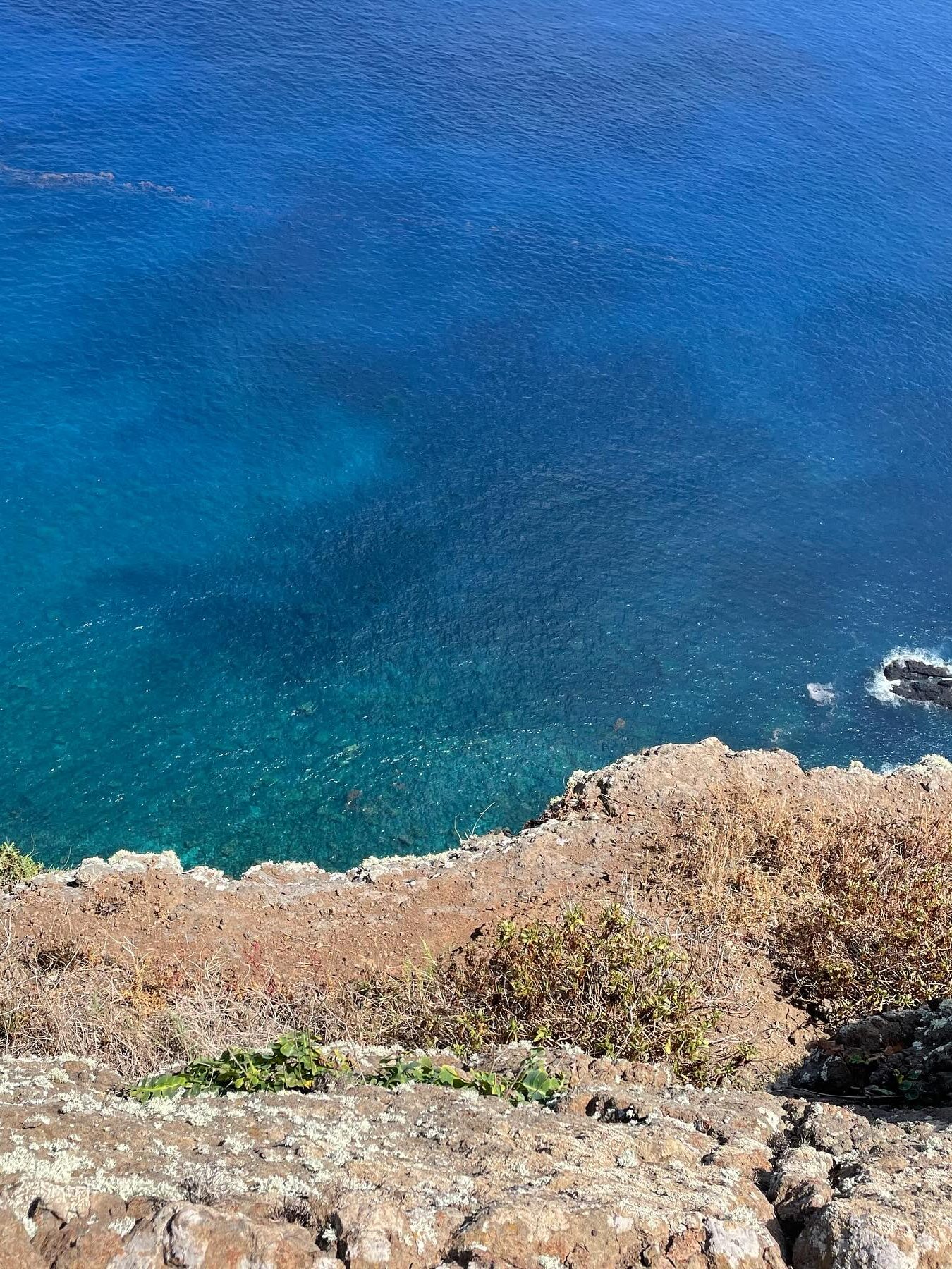 Ponta de Sao Lourenco madeira