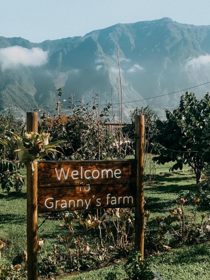 granny's farm madeira
