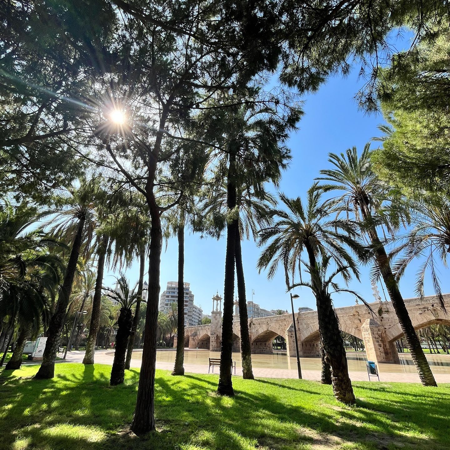jardin del turia bezienswaardigheden in valencia