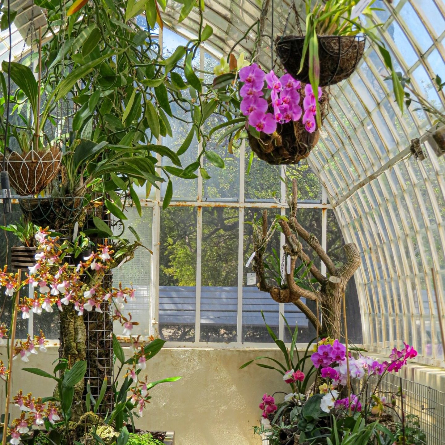 leuke dingen om te doen in valencia botanische tuinen
