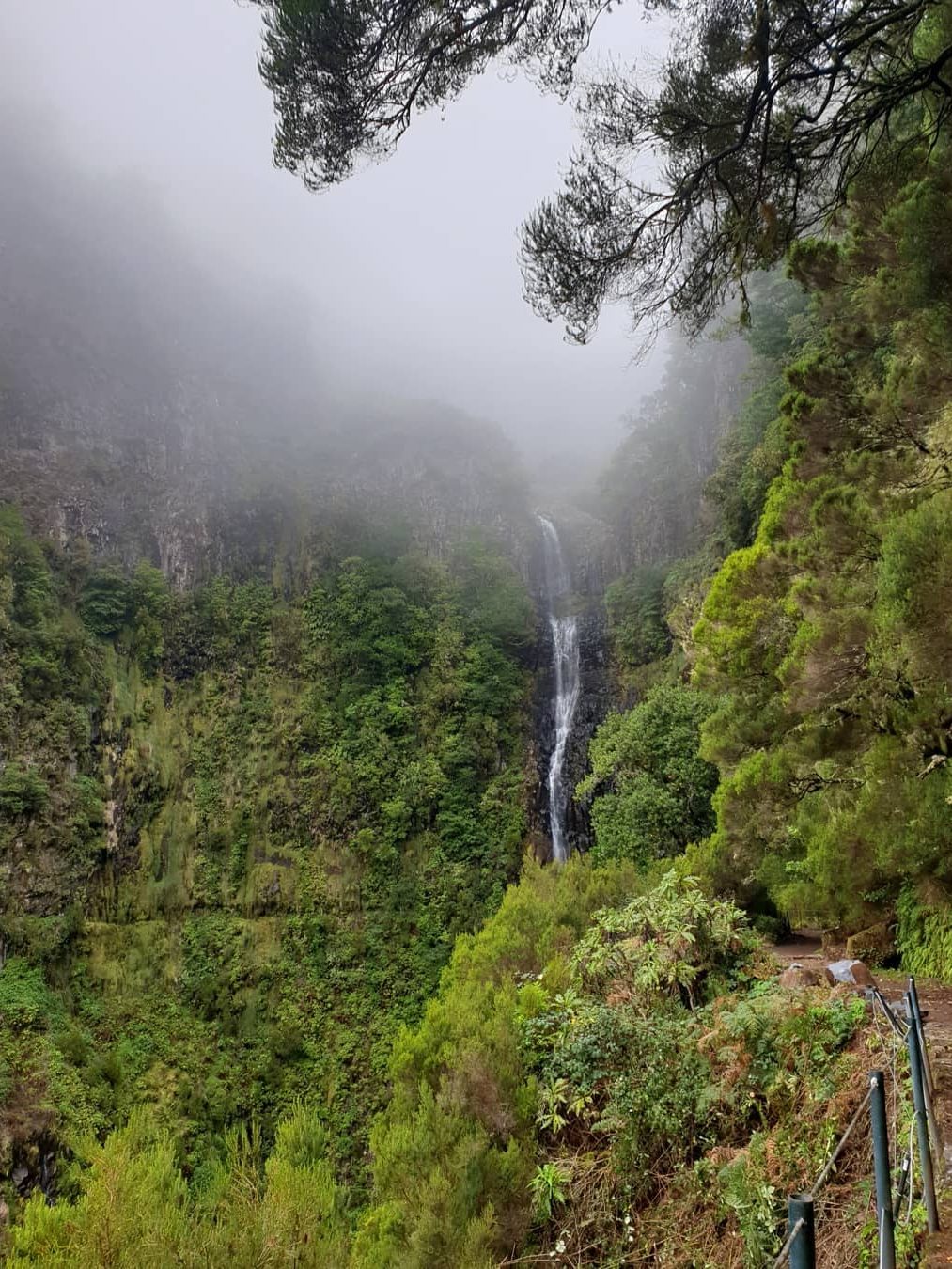 Levada do Risco levada wandelingen