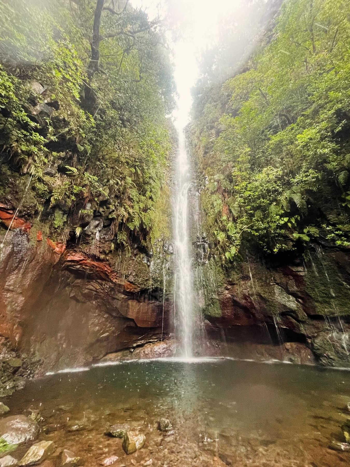 PR 6 Levada das 25 Fontes mooiste hikes op Madeira