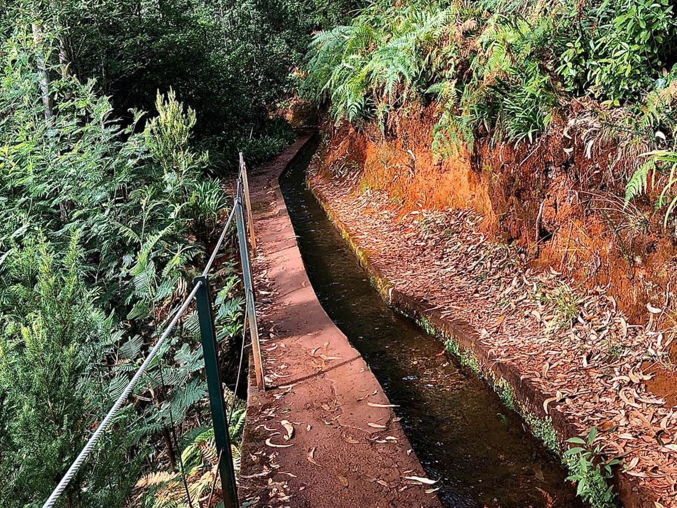 de hike langs Levada do Rei