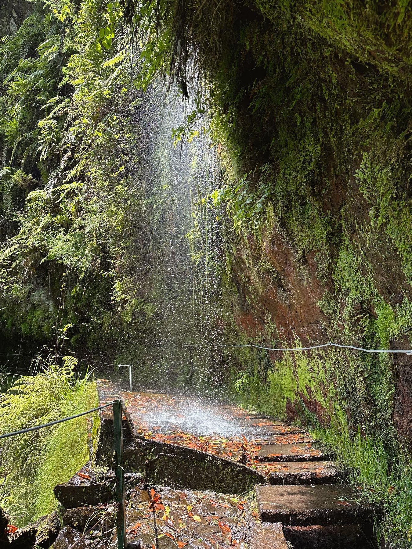 levada do rei pr18 madeira levada wandelingen waterval