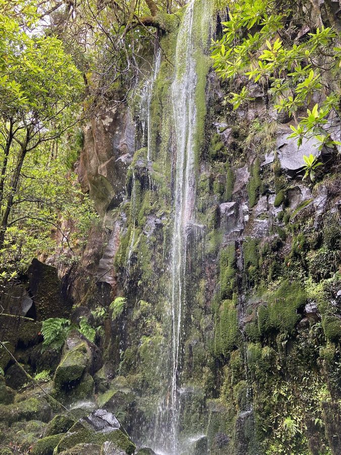 De waterval langs Levada dos Cedros