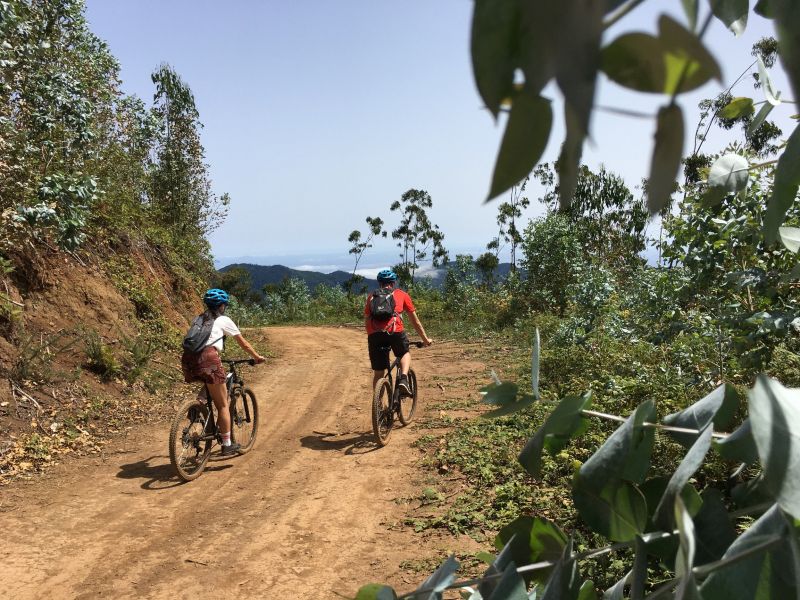 fietstour madeira met gids baja bikes mountainbike