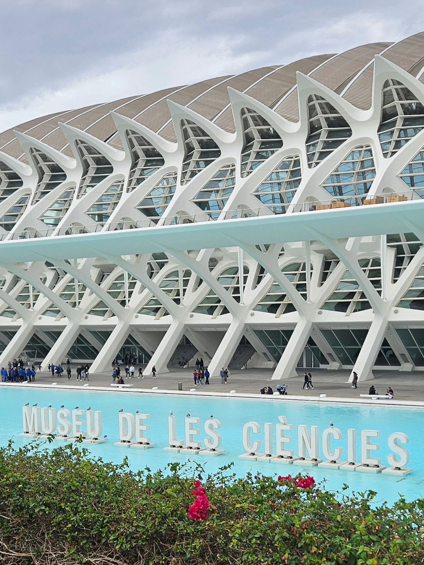 museu de les ciencies valencia