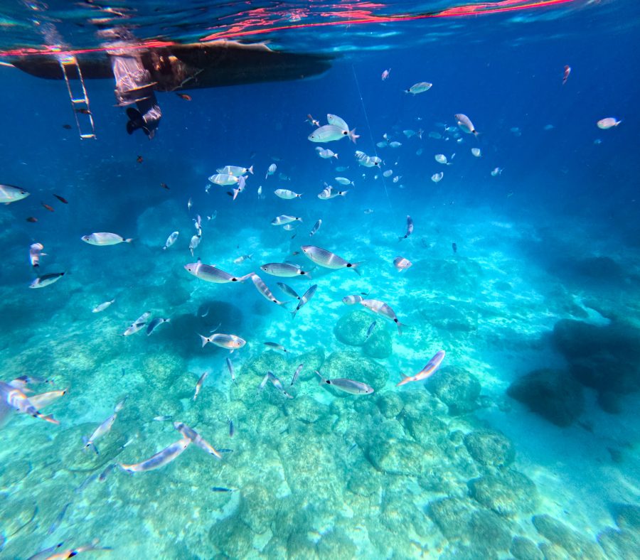 waar-snorkelen-sardinie-tips