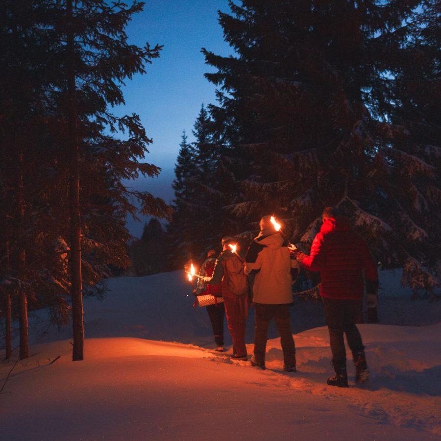 fakkeltocht door het bos oslo leuke dingen om te doen