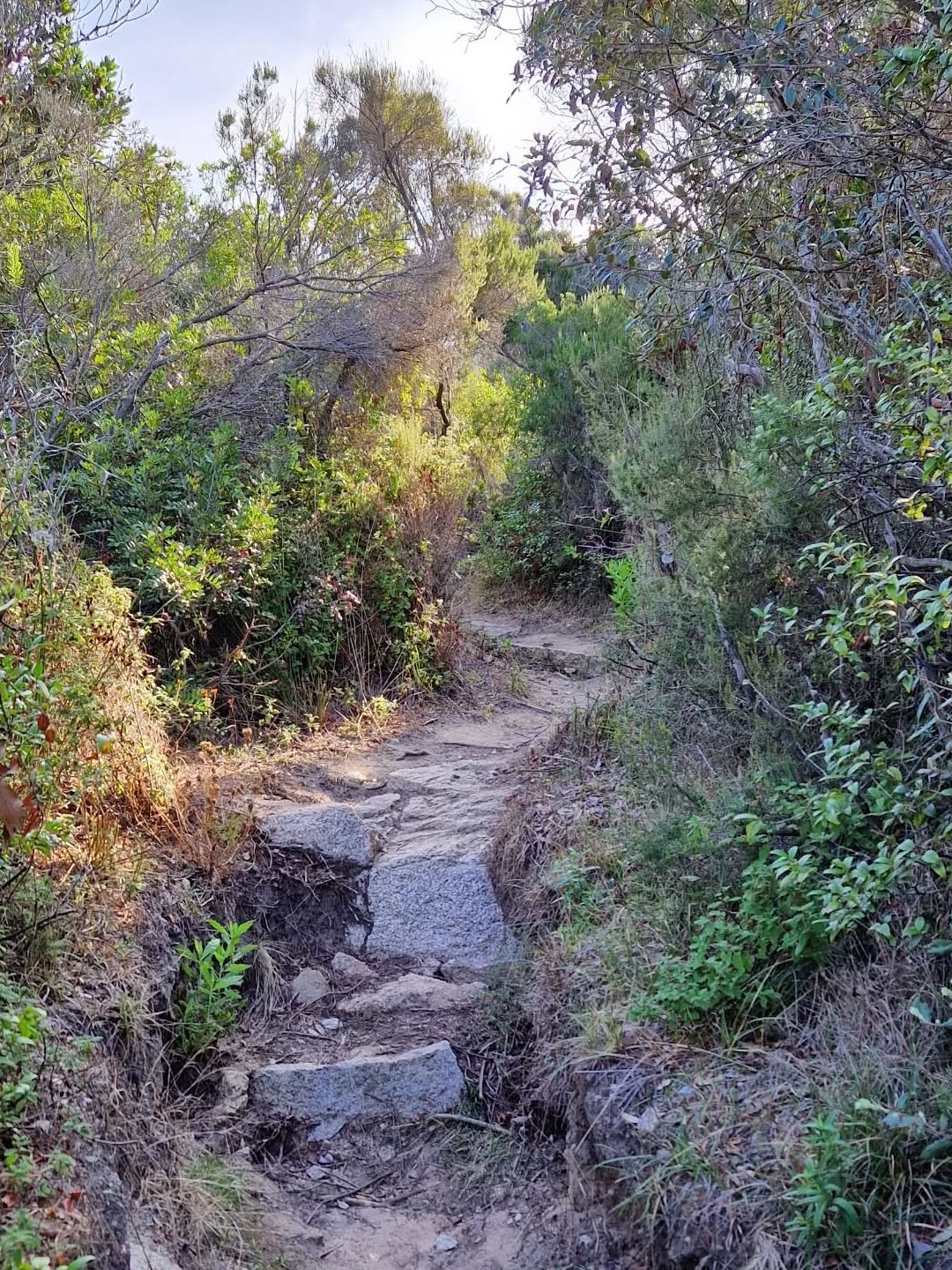 wandelpad naar Cala di Trana