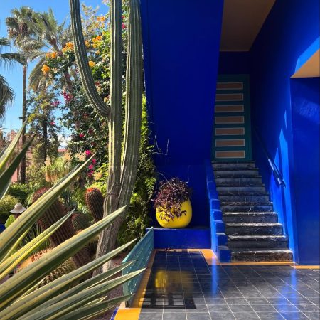 Jardin Majorelle in Marrakech: oase van rust