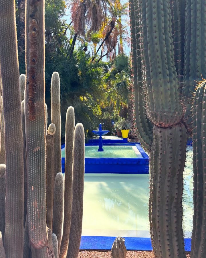 Jardin Majorelle in Marrakech