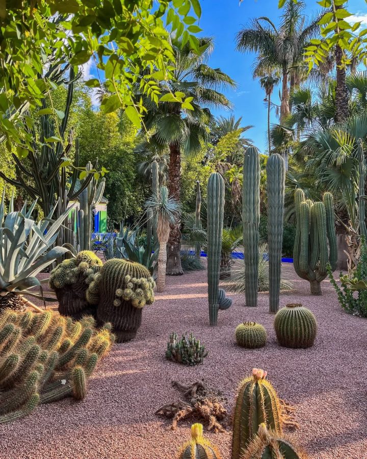 Jardin Majorelle in Marrakech bezoeken