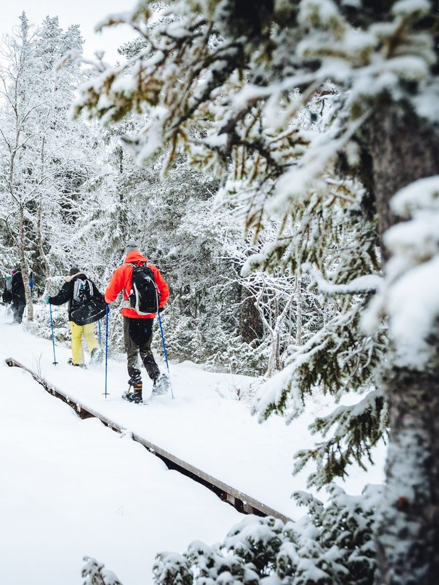 sneeuwschoenen loop stockholm leuke dingen om te doen