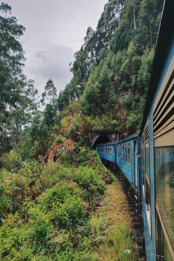 treinreis van ella naar kandy