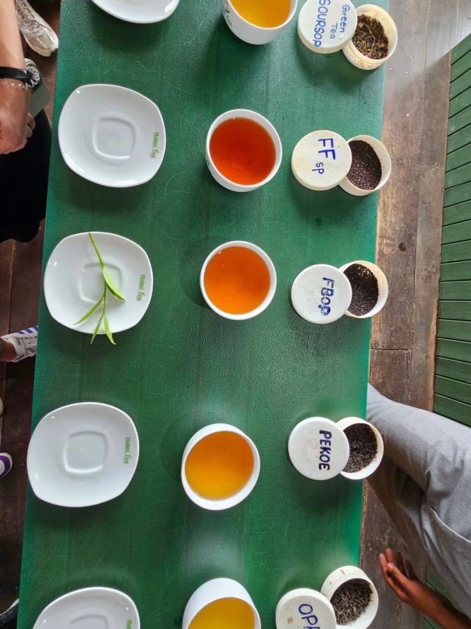 Halpewatte Tea Factory ella sri lanka