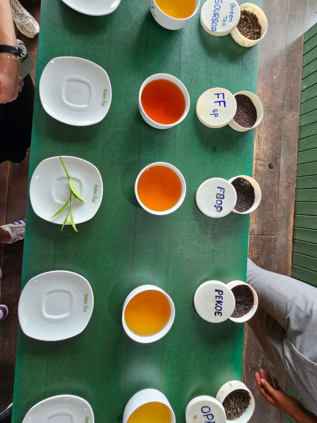 Halpewatte Tea Factory ella sri lanka
